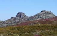 Ruta: Parque Natural Baixa Limia-Xurés: Serra de Queguas